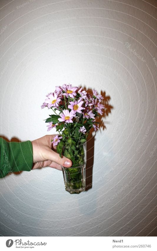 Flowers before woodchip. Glass Plant Blossom Hideous Green Pink White Virtuous Congratulations Colour photo Interior shot Close-up Structures and shapes