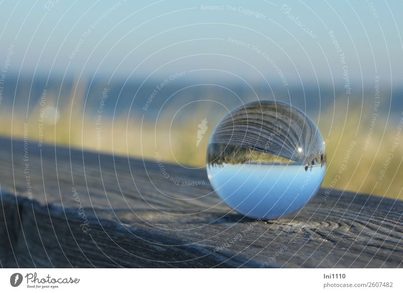 Sea view through ball for Helgi Nature Plant Sunlight Autumn Coast Lakeside Beach North Sea Magnifying glass Glass Blue Yellow Gray Green Black Glass ball