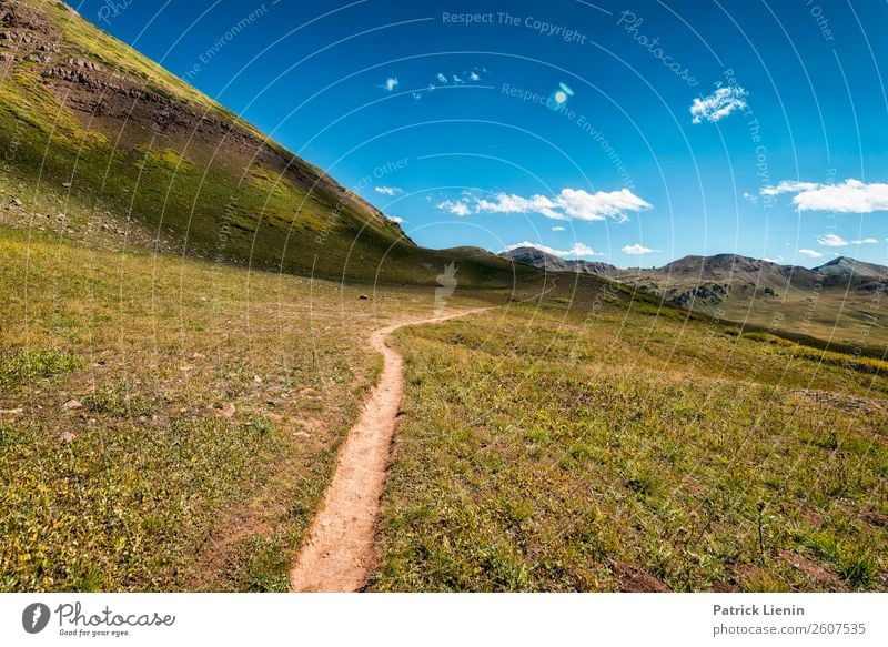 Hiking trail in the Rocky Mountains Wellness Contentment Senses Relaxation Vacation & Travel Trip Adventure Far-off places Freedom Environment Nature Elements