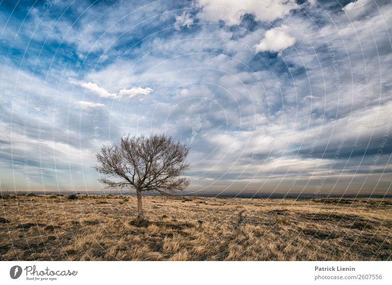 North Table Mountain Contentment Adventure Far-off places Freedom Environment Nature Landscape Sky Clouds Autumn Climate Climate change Weather Plant Tree