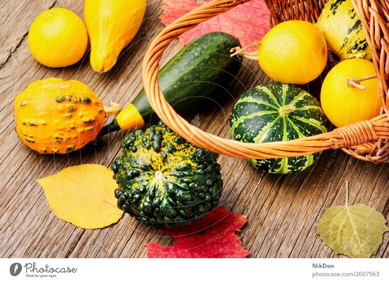 Autumn Pumpkin in basket autumn pumpkin fall season seasonal vegetable halloween september autumn card autumn harvest thanksgiving background food yellow