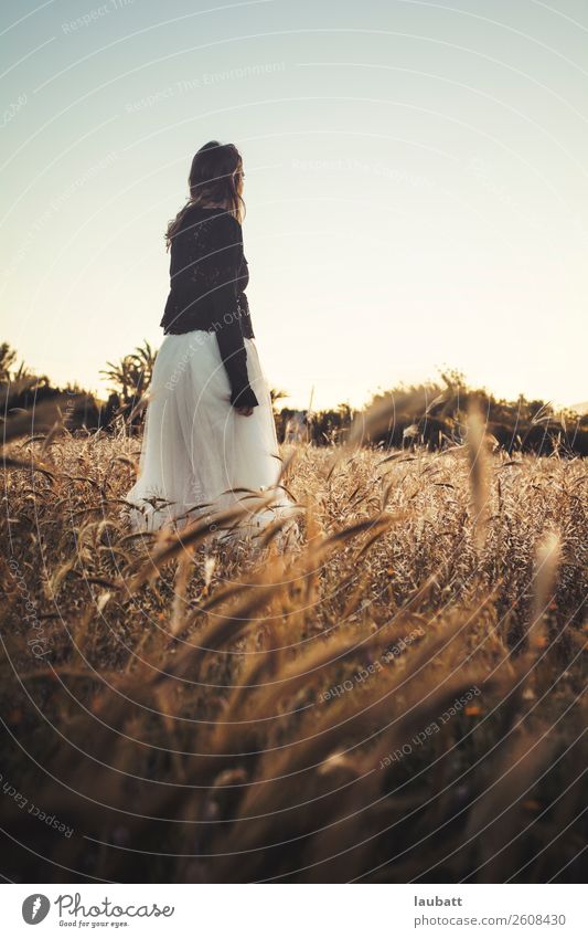 Portrait of a young, beautiful young woman looking to the horizon standing in the middle of a wheat field Woman Girl Young woman Wheat ear Freedom spikes