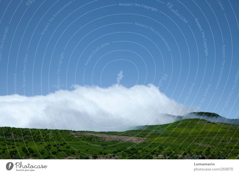 blanket of clouds Environment Landscape Elements Earth Air Sky Clouds Horizon Summer Weather Beautiful weather Hill Mountain Island Madeira Far-off places Large