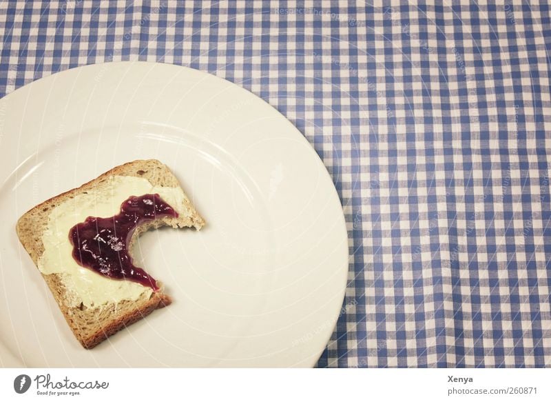 pitted Food Bread Toast Nutrition Breakfast Plate Blue White Appetite Disappointment Lovesickness Tablecloth Checkered Divide Interior shot Close-up Deserted