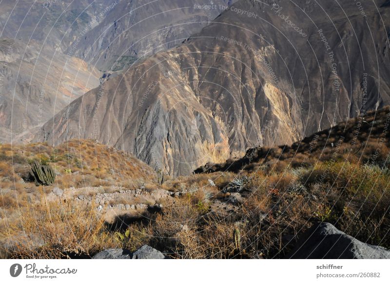 The way to Canossa Nature Landscape Elements Earth Rock Mountain Exceptional Slope Badlands Dry Steep Deep Tall Go up Effort Far-off places Brown Peru Andes