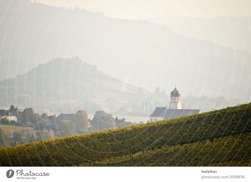 Autumn in Baden, view to Ehrenkirchen Nature Landscape Field Hill Mountain Village Walking Hiking Leisure and hobbies Idyll Religion and faith Vacation & Travel