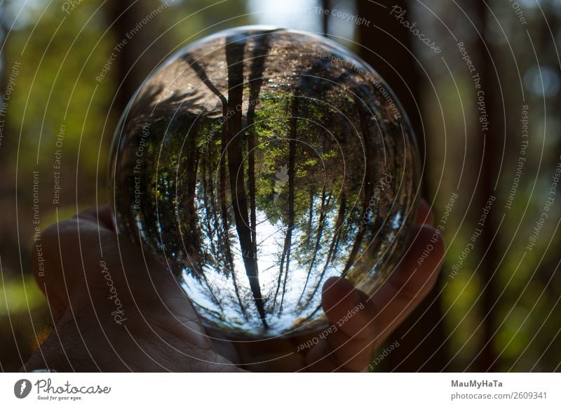 A glass ball of nature Beautiful Vacation & Travel Tourism Summer Hand Art Nature Landscape Earth Sky Autumn Tree Grass Leaf Park Forest Sphere Glittering