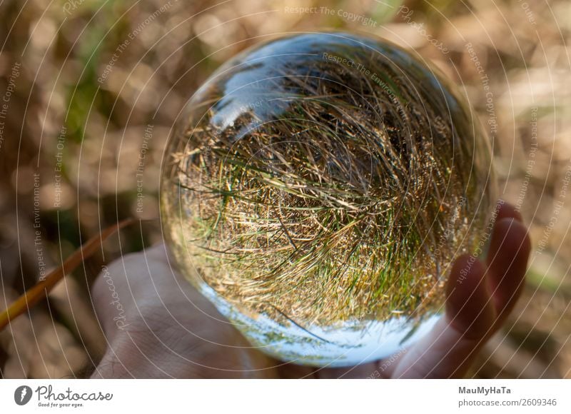 A glass ball of nature Beautiful Vacation & Travel Tourism Summer Hand Art Nature Landscape Earth Sky Autumn Tree Grass Leaf Park Forest Sphere Glittering