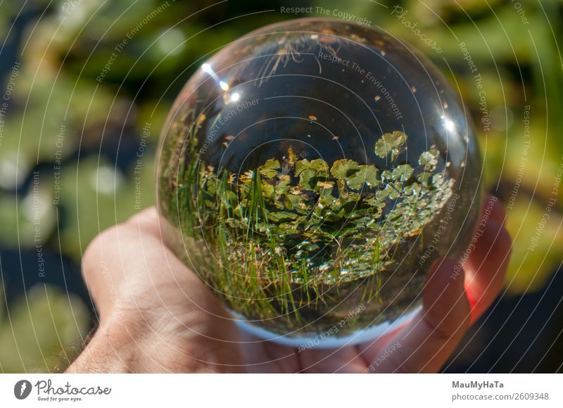 A glass ball of nature Beautiful Vacation & Travel Tourism Summer Hand Art Nature Landscape Earth Sky Autumn Tree Grass Leaf Park Forest Sphere Glittering