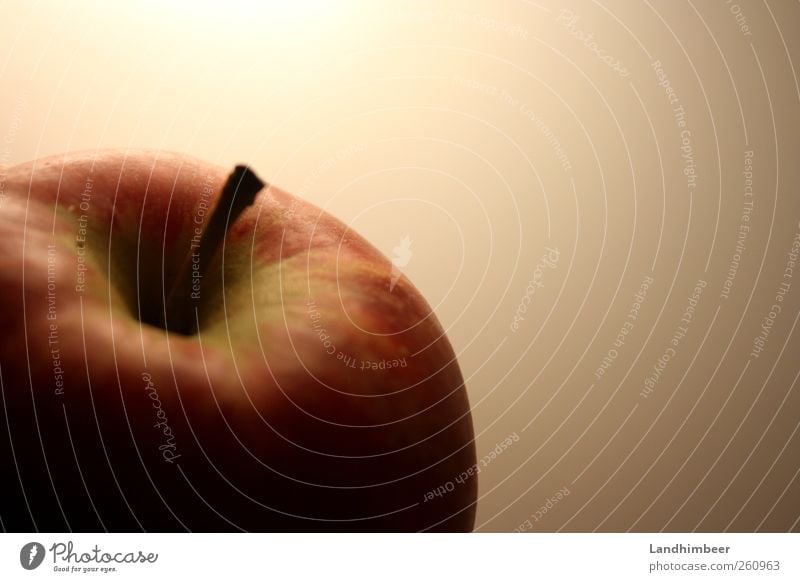 The apple. Food Fruit Apple Healthy Delicious Round Red Colour photo Close-up Deserted Neutral Background Artificial light Shadow