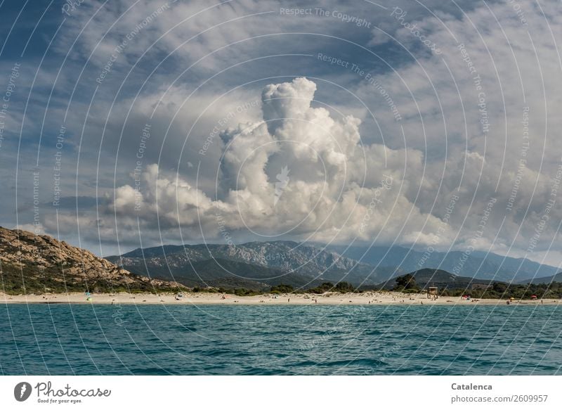 Cloud towers; coastal landscape with cloud formation Human being Group Nature Landscape Sand Air Water Sky Storm clouds Summer Beautiful weather Foliage plant