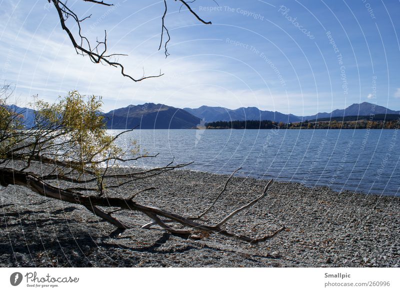 bank Calm Vacation & Travel Far-off places Nature Landscape Water Sky Beautiful weather Lakeside Blue Gray Contentment Loneliness Colour photo Exterior shot Day