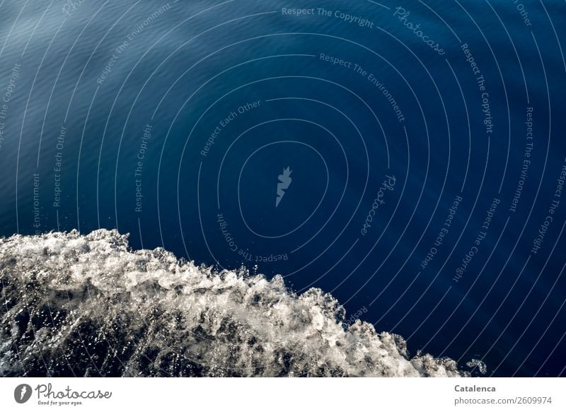 Transformation | from blue to white The splash of the sailing yacht on the blue sea Summer Summer vacation Ocean Aquatics Sailing Nature Beautiful weather