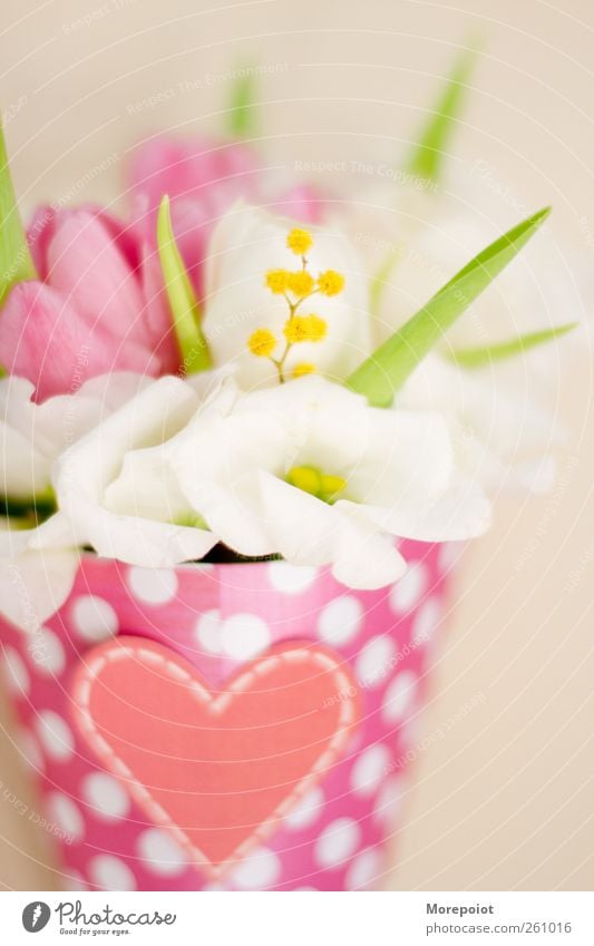 Flowers Plant Blossom Paper Decoration Inspiration Beautiful Light Tenderness Colour photo Multicoloured Studio shot Close-up Detail Experimental Deserted