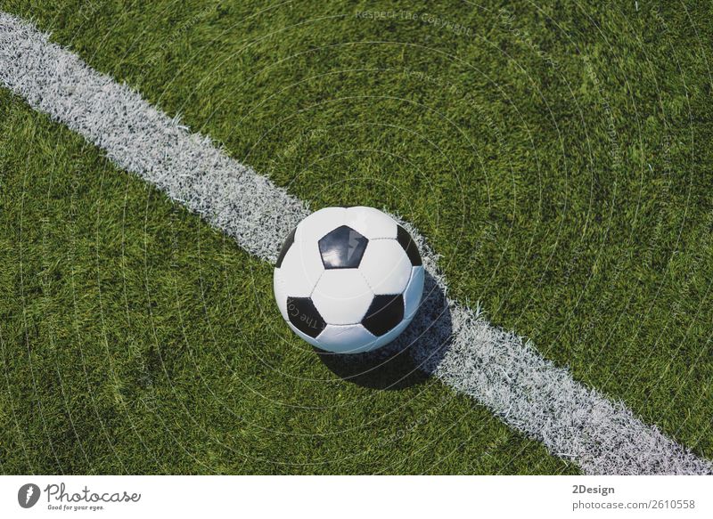 Vintage soccer ball on green grass over the white line Sports Sports team Success Soccer Stadium Grass Leather Fresh Green White Competition Achievement