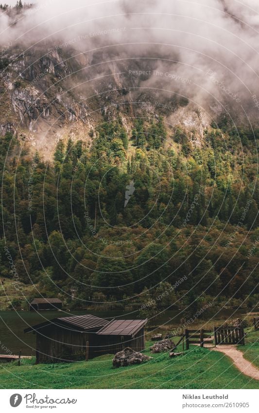 Path at the lake Calm Vacation & Travel Trip Summer Mountain Hiking Nature Landscape Water Clouds Sun Autumn Weather Bad weather Fog Tree Grass Forest Rock Alps