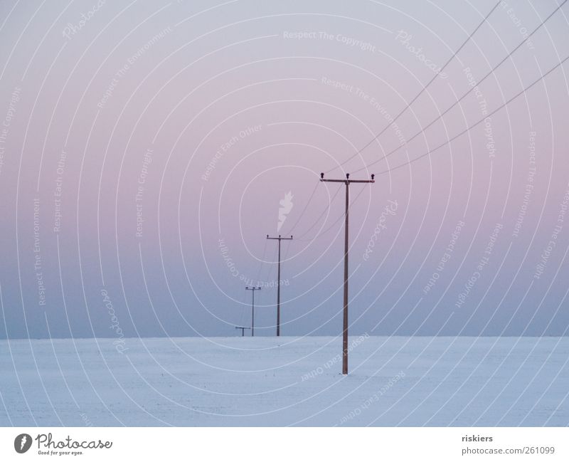 connection Landscape Sky Cloudless sky Winter Snow Field Deserted Cold Gloomy Calm Minimalistic Electricity pylon Colour photo Subdued colour Exterior shot