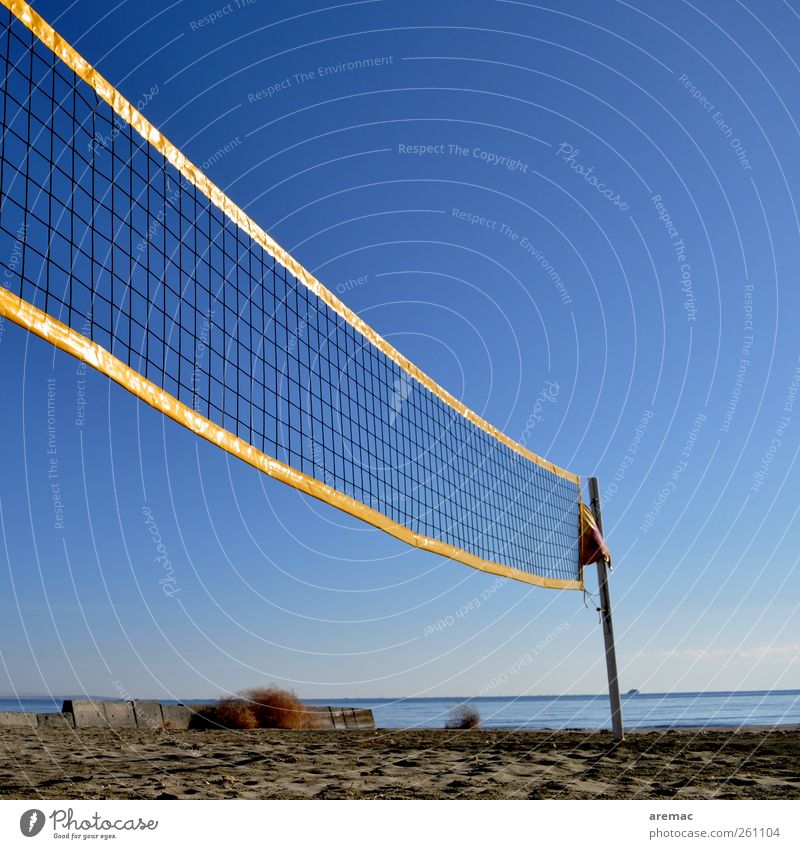 off-season Sports Ball sports Volleyball (sport) Volleyball net Volleyball court Sand Sky Cloudless sky Autumn Beautiful weather Beach Playing Colour photo