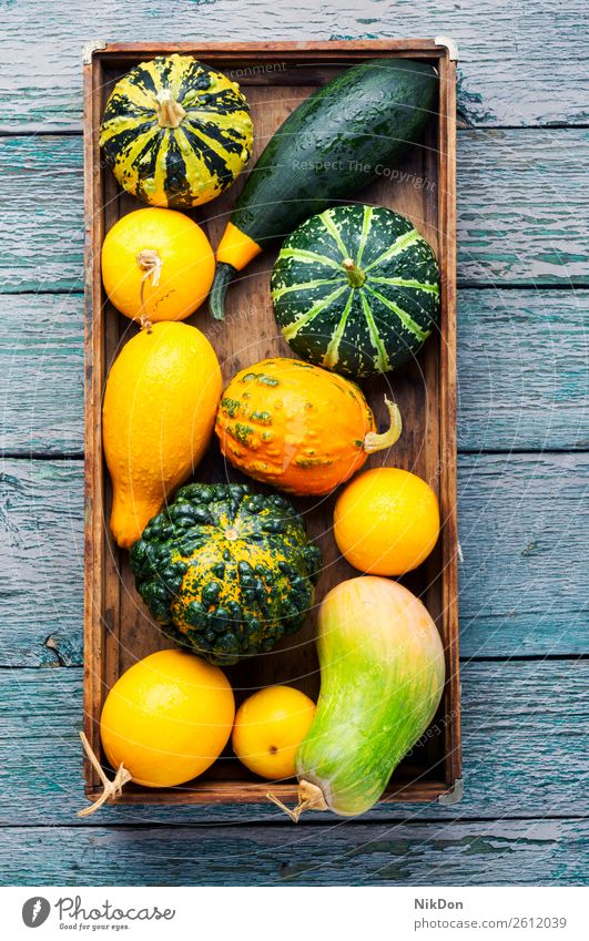 Autumn still life with pumpkins autumn fall season seasonal vegetable halloween autumn pumpkin box september autumn card thanksgiving background food yellow