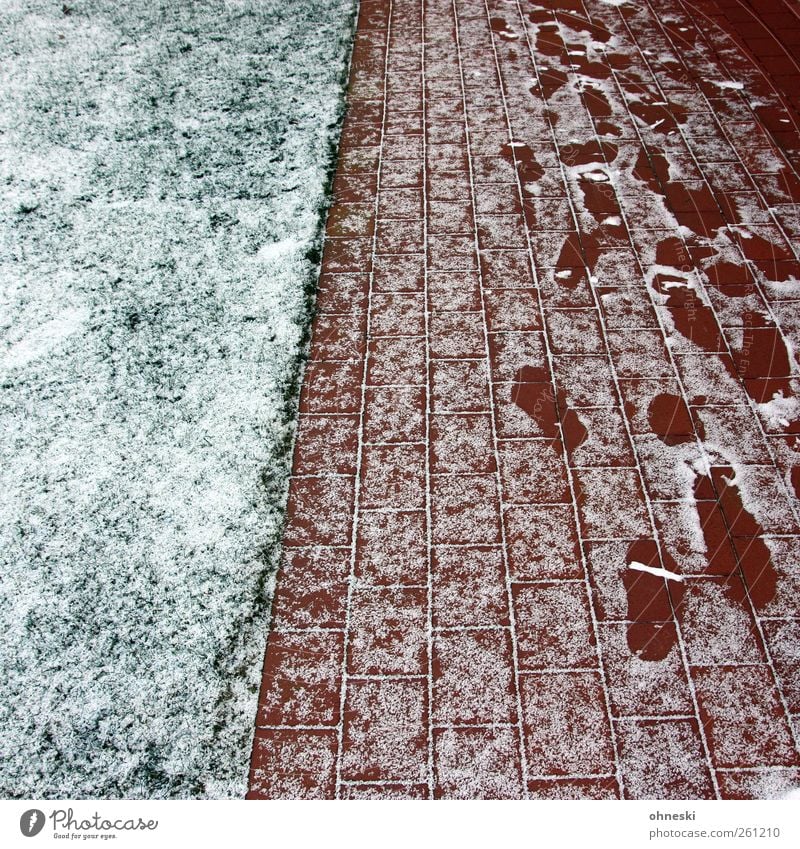 tracks Winter Ice Frost Snow Garden Meadow Deserted Lanes & trails Cold Green Red White Footprint Search Going Imprint Colour photo Exterior shot Pattern