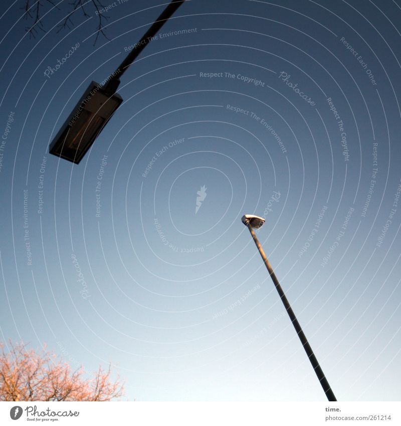 standby duty Environment Beautiful weather Tree Deserted Relationship Advancement Concentrate Perspective Whimsical Surrealism Town Sky Blue Street lighting