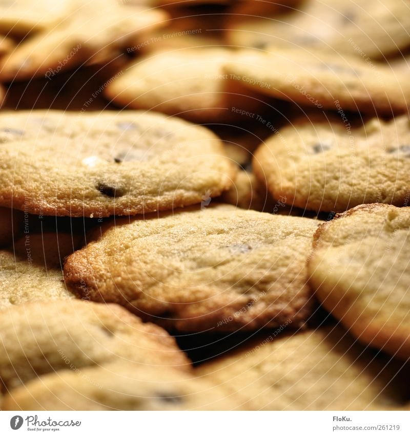 Biscuits are there for everyone Food Dough Baked goods Dessert Candy Nutrition Fragrance Fresh Delicious Sweet Happy Happiness Gluttony Voracious Cookie cookies