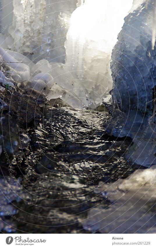 Frost came overnight [MINI-UT INNTAL 2012] Nature Elements Water Winter Ice Canyon Brook Waterfall Crystal Freeze Glittering Illuminate Fluid Cold Blue Gray