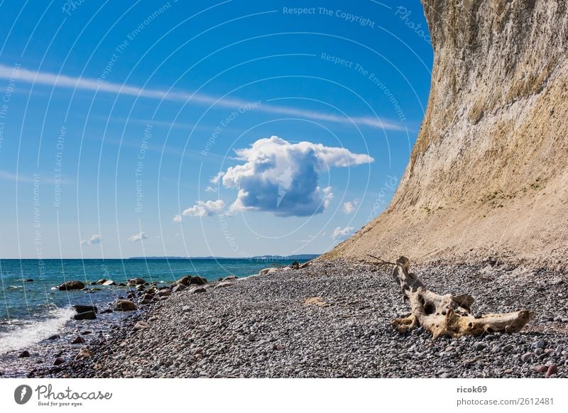 On the coast of the Baltic Sea on the island of Rügen Vacation & Travel Tourism Ocean Nature Landscape Clouds Rock Coast Tourist Attraction Stone Blue Romance