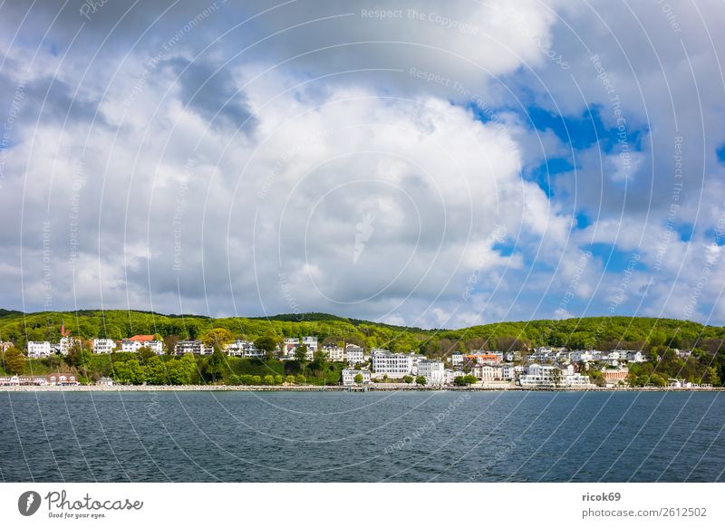 View of Sassnitz on the island of Rügen Relaxation Vacation & Travel Tourism Nature Landscape Clouds Tree Forest Coast Baltic Sea Town Building Architecture