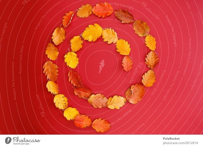 #A# Autumn Strudel Art Esthetic Balance Pattern Whirlpool Autumnal Design Autumn leaves Autumnal colours Early fall Autumn storm Autumn wind Red Symmetry