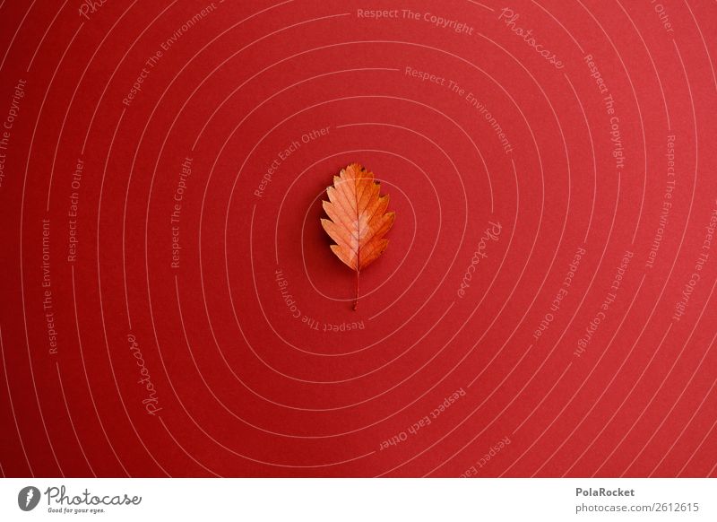 #A# Sheet Design Art Esthetic Leaf Autumn Autumnal Autumn leaves Early fall Autumnal colours Partition Minimalistic Colour photo Multicoloured Interior shot