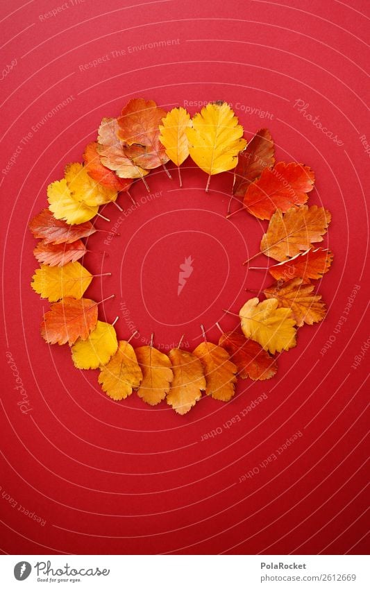 #A# Autumn Wheel Art Esthetic Autumnal Autumn leaves Autumnal colours Early fall Automn wood Leaf Seasons Decoration Creativity Design Red Eye-catcher