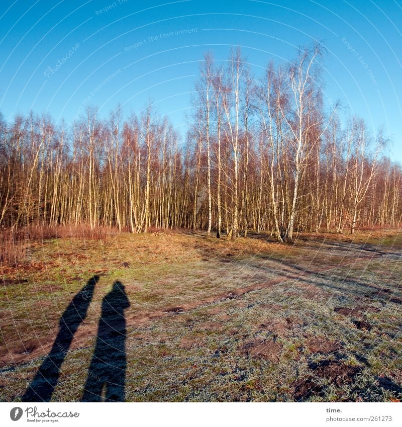 Your megacooles multi-storey car park will soon be built here 2 Human being Environment Nature Landscape Sky Winter Beautiful weather Tree Moss Field Forest Bog