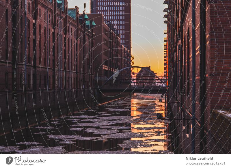 Winter in the Speicherstadt I Beautiful weather Ice Frost Hamburg Old warehouse district Town Port City Downtown Deserted House (Residential Structure)