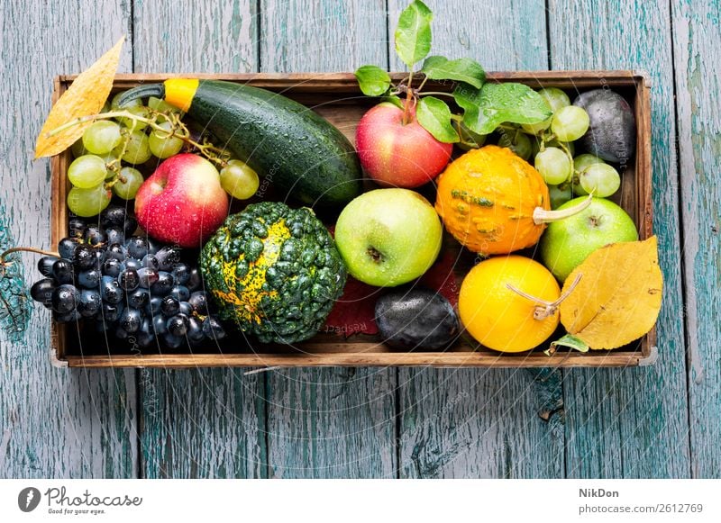 Beautiful autumn harvest pumpkin decoration fall harvesting season vegetable natural seasonal grapes berry plum still life yellow nature food tray background