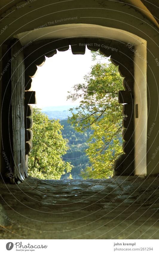 Illuminating Nature Leaf Forest Hill Riegersburg Federal State of Styria Austria Village Tunnel Gate Wall (barrier) Wall (building) Tourist Attraction Happiness