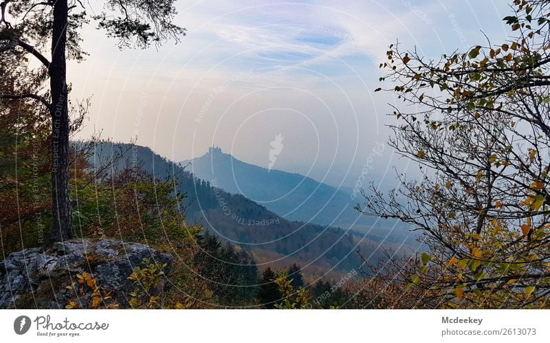 Hohenzollern Castle I Environment Nature Landscape Plant Autumn Beautiful weather Fog Tree Grass Bushes Leaf Forest Bisingen Manmade structures Building