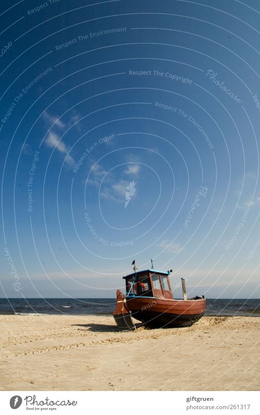 fresh fish Work and employment Fishery Fishing boat Environment Nature Landscape Elements Earth Water Sky Horizon Summer Beautiful weather Coast Beach