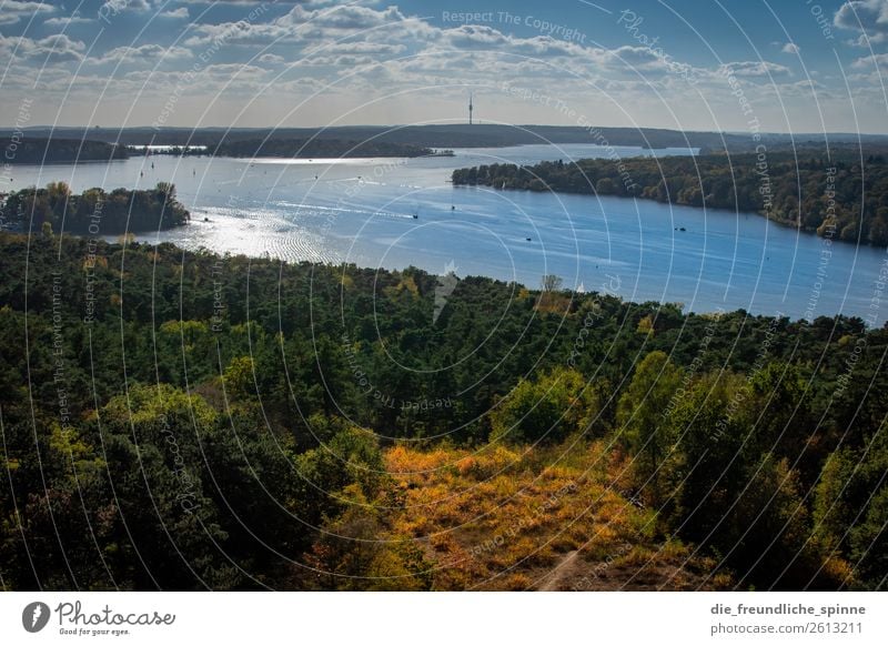 Autumn at the Havel Nature Landscape Plant Water Sky Sun Sunlight Beautiful weather Tree Forest Mountain Karlsberg devil's mountain River bank Berlin Potsdam