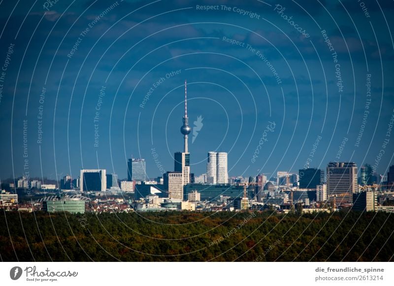 Skyline Berlin Cloudless sky Horizon Summer Autumn Beautiful weather Tree Forest Germany Europe Town Capital city Downtown High-rise Tourist Attraction Blue