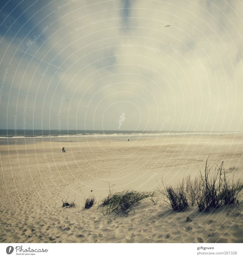 beach walk Environment Nature Landscape Plant Elements Sand Water Sky Clouds Weather Grass Waves Coast Beach Baltic Sea Ocean Esthetic To go for a walk Dune