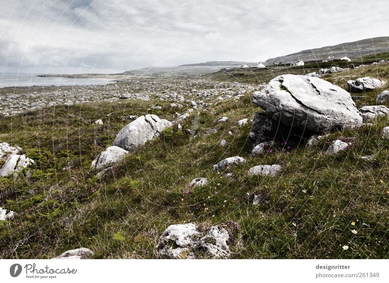 Where the stones grow Plant Grass Meadow Field Hill Rock Mountain Coast Ocean Atlantic Ocean fanore Ireland Lie Old Gigantic Large Stone Stony Landscape Sparse