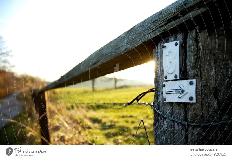 To the latte Fence Barbed wire Light Beautiful Physics Meadow Hill Blur Near Bushes Wooden board Autumn Sun Evening Warmth Pasture Sky Street Lanes & trails