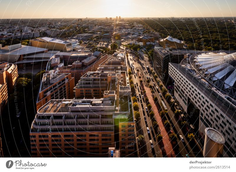 Autumn panoramic view of Berlin XIII Central perspective Deep depth of field Sunbeam Sunlight Shadow Light Morning Copy Space middle Copy Space bottom