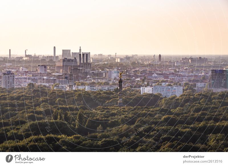 Autumn panoramic view of Berlin XV Central perspective Deep depth of field Sunbeam Sunlight Shadow Light Morning Copy Space middle Copy Space bottom