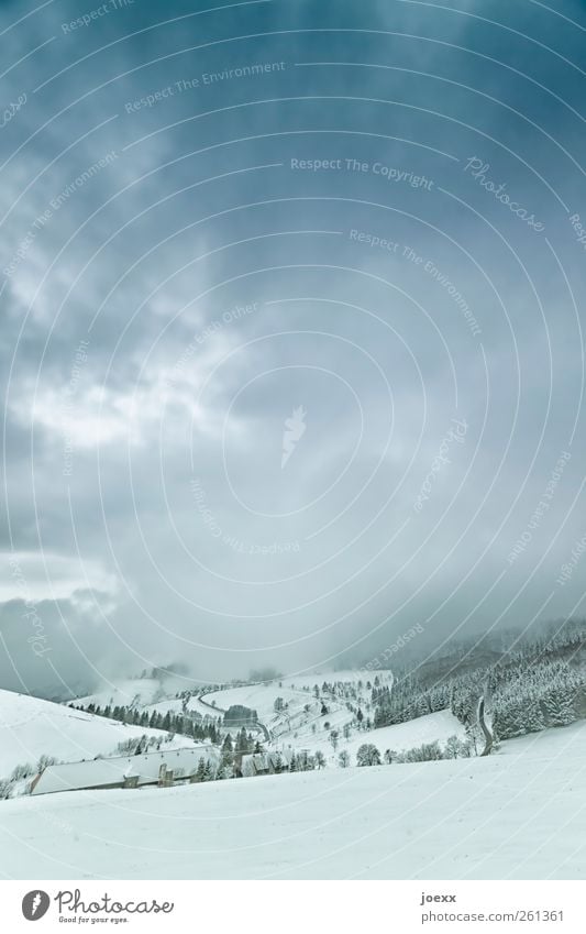 descent Landscape Sky Clouds Winter Bad weather Snow Forest Hill Mountain Village Dark Cold Blue Black White Idyll Colour photo Exterior shot Deserted Day