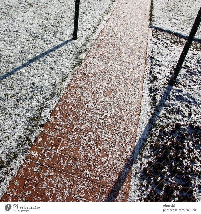 obliquely Winter Beautiful weather Ice Frost Snow Garden Meadow Field Deserted Lanes & trails Paving stone Cobbled pathway Stone Line Cold Colour photo