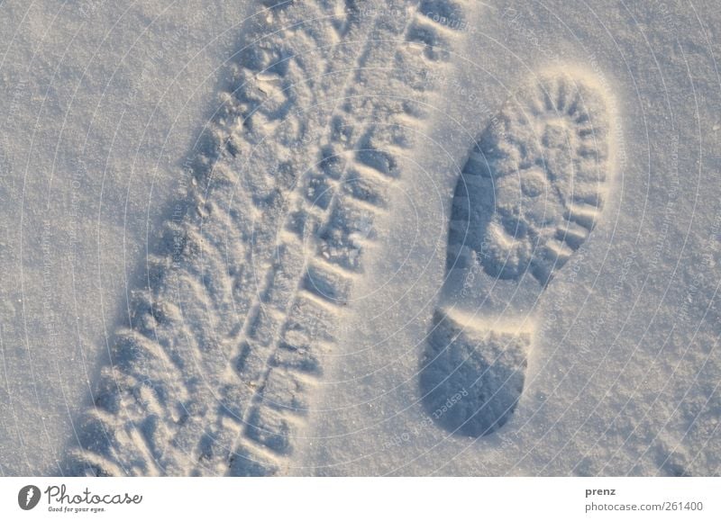 drive or run Winter Ice Frost Snow Driving Going Walking Blue White Tracks Footprint Shoe sole Skid marks Tire tread Cold Colour photo Exterior shot Deserted