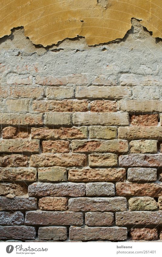 A piece of Venice Vacation & Travel Italy Town Architecture Wall (barrier) Wall (building) Stone Brick Old Poverty Dirty Brown Decline Past Transience