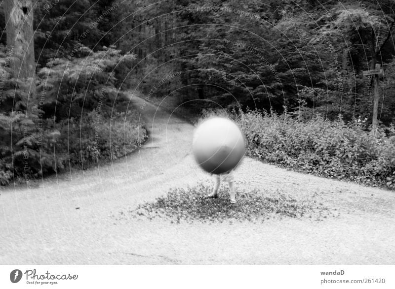 ________________ Infancy Legs Feet 1 Human being Nature Earth Air Summer Beautiful weather Tree Grass Forest Umbrella Sphere Rotate Playing Stand Exceptional